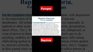 Baptisia tinctoria youtubeshorts matariamedica aiapgetpreparation aiapget shorts homoeopathic [upl. by Astra]