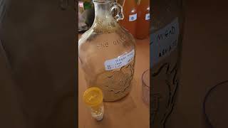 Homemade Honey Mead [upl. by Caiaphas]