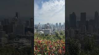 mont royal lookout montreal [upl. by Ecire]