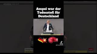 Alice Weidel zur Ampel Regierung💥⚡️ [upl. by Macnamara]