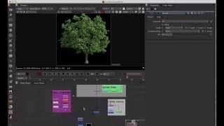 Nuke Quick Tip 007 Using Idistort and noise to create natural FX Animated Tree wind [upl. by Ennire]