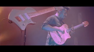 ANIMALS AS LEADERS  The Brain Dance Live Music Video [upl. by Letnohs]