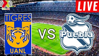 UANL Tigres vs Puebla Live Score l Liga Mx apertura 2024 [upl. by Dobrinsky]