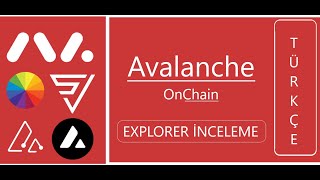 Avalanche OnChain araçlarını inceliyoruz Çok fazla Explorer [upl. by Hunger]