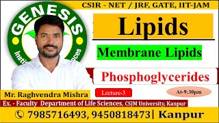 Membrane Lipids  Biochemistry  Lecture2  New online quotBatchquot for CSIR NETJRF  IITJAM [upl. by Eniamret]