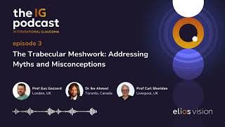 Ep 3 The Trabecular Meshwork Addressing Myths and Misconceptions [upl. by Lorrimer]