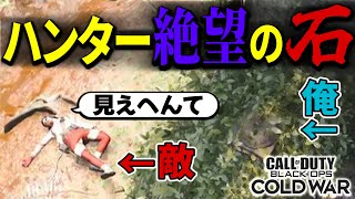 【Prop hunt】ジャングル石ころ最強！ハンター側も絶望するプロップだが…？【CoDBOCW】 [upl. by Eamanna]