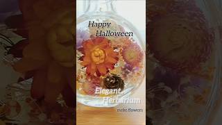 Halloween 『Elegant Herbarium』Relax halloween flowers [upl. by Emmalyn]