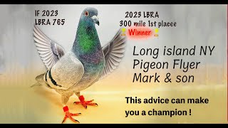 Mark and Son Loft shares secrets that can make you a pigeon champion [upl. by Yllut]