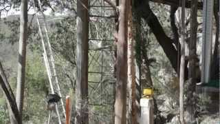 Wollemi Wildernes Cabins  Australias Top Treehouse [upl. by Ecineg496]