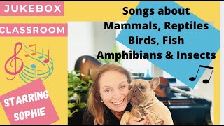 Sing songs about Mammals Reptiles Birds Fish Amphibians amp Insects with Mrs Virginia and Sophie [upl. by Hgielac559]