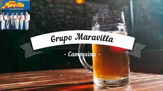 Grupo Maravilla Campesina Karaoke [upl. by Adivad257]