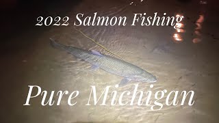 2022 Salmon Fishing on the Betsie River [upl. by Onivag]