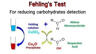 Fehlings Test for the identification of carbohydrates Knowledge Academy [upl. by Eerized]