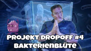 📢Wir bauen ein Meerwasser Aquarium ⭐Projekt Dropoff Tank 4⭐Bakterienblüte⭐ [upl. by Nitsej882]