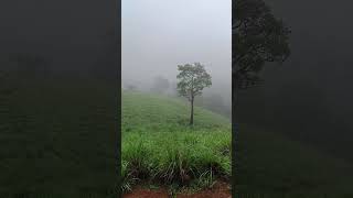 Thekkady  Kerala Tourist places trendingshorts keralatourism [upl. by Moseley]