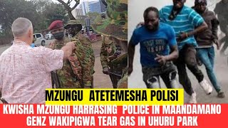 MZUNGU HARASSING POLICE IN GEN Z MAANDAMANO UNAAMBIA NANI ATOKE NITAKUFINYA [upl. by Aneehs]