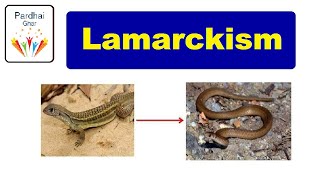 Lamarck Theory Of Evolution  Lamarckism pardhaighar [upl. by Mcconaghy]