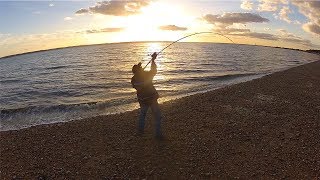 Beginners Beach Fishing Tips  Rigs Bait Tackle amp Tactics [upl. by Nivri]