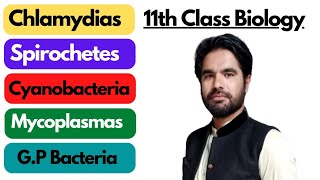 Chlamydias Spirochetes Cyanobacteria Gram positive bacteria Mycoplasmas in pashto [upl. by Riggs]