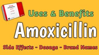 Amoxicillin 💊  Amoxicillin 500mg capsule uses  Benefits of Amoxicillin  Amoxicillin Clavulanate [upl. by Rovelli]