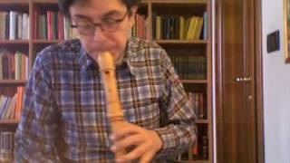 Recorder lesson Bach 1 Suite for cello Allemande 33 BWV 1007 [upl. by Adnalro]