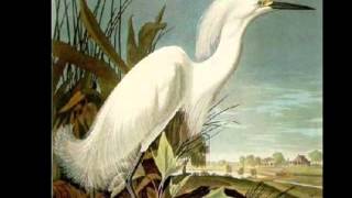 John James Audubon [upl. by Feld548]