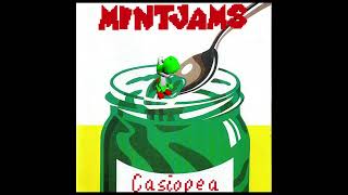 Mint Jams  Casiopea with the Super Mario 64 soundfont [upl. by Lodi]