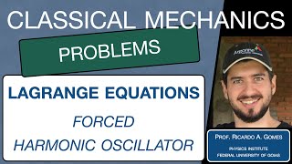 Classical Mechanics  Problem 04  EulerLagrange Equations [upl. by Minsat]