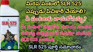 Slr 525 uses in telugu  slr 525 insecticide  slr 525 pesticide  slr 525 full information use [upl. by Deeraf]