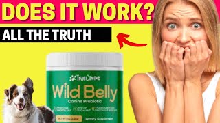 WILD BELLY CANINE PROBIOTIC REVIEW  WILD BELLY Dog Probiotic  Wild Belly  Does It Really Work [upl. by Oria]