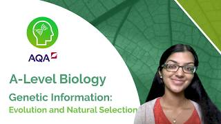 AQA A Level Biology Evolution and Natural Selection [upl. by Shivers433]