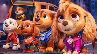 ALL the BEST Scenes with CHASE  Paw Patrol Movies Compilation ⚡ 4K [upl. by Rosenblatt]