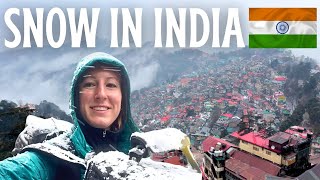 SHOCKED by SHIMLA 🇮🇳 Solo India Travel Vlog  Snow in India Jakhu Temple The Ridge amp Mall Road [upl. by Weinman824]