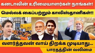 கனடாவின் உரிமையாளர்கள் நாங்கள் வளர்த்தவன் வாய் திறக்க முடியாது hftamil [upl. by Llewoh]