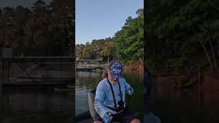 Beautiful Lake Lanier Topwater Spotted Bass shorts bassfishing topwater [upl. by Hathaway181]