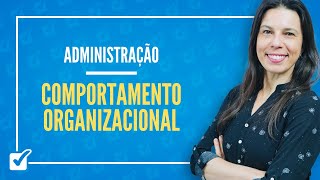 1301 Aula de Desenho Organizacional Conceitos Tipos Centralização e Des Administração [upl. by Enilra]