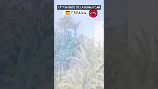 Palmeral de Elche uno de los patrimonios de la humanidad en España  Guías de viaje [upl. by Ynetruoc]