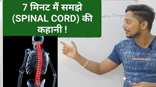 Spinal Cord in hindi  Spinal Nerve  Cranial Nerve  Lumber Vertebrae  Anatomy of Spinal Cord [upl. by Ennyl62]