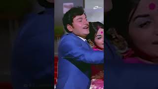 Nee Sanihake Bandare Tanuvidu shorts  Eradu Kanasu  DrRajkumar  Kalpana Song shorts [upl. by Kelli]