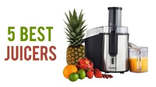 5 Best Juicers  Top Juicer Reviews UPDATED [upl. by Nahama]