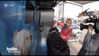 Frühjahrsputz Dogwash im Autowaschcenter Klaeser [upl. by Lodovico]