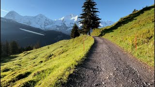 Swiss Traveling  Lauterbrunnen amp Mürren Switzerland Jungfrau Alp Walk  Grütschalp to Winteregg [upl. by Yablon297]