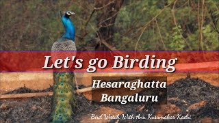 Lets go birding Hesaraghatta Bangalore [upl. by Adiasteb]