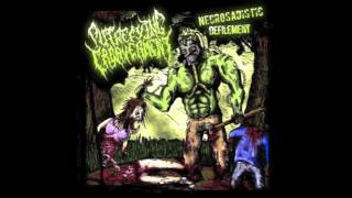 Putrefying Cadaverment  Necrosadistic Defilement Full Album 2008 HD [upl. by Ardnua]