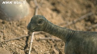 Baby Tambatitanis vs Tyrannosaurus  DINOSAURS [upl. by Ruggiero]