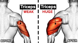 How To Build Your WIDER Triceps workout AT GYM Effective Exercises [upl. by Arym193]