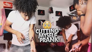 CUTTING MYSELF PRANK ON MY FAMILY 😳 [upl. by Perrie346]