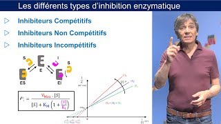 Les différents types dinhibiteurs [upl. by Reese]