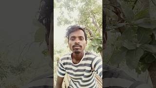 A na pera may nit do chein lay santhali short video song 2024 [upl. by Eidas]